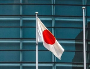 Japonya’da güvercini aracıyla öldüren taksici tutuklandı