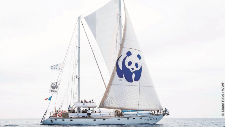Blue Panda, Mavi Ormanlar için Türkiye’ye yelken açtı