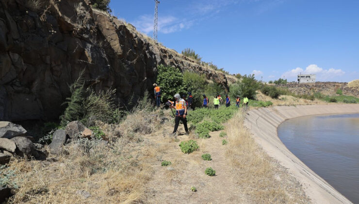 Diyarbakır’da kaybolan Narin Güran aranıyor: 16 kilometrelik alan tarandı