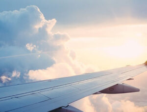 İstanbul hava alanında leylek alarmı: Pilotlar ve kontrolörler uyarıldı