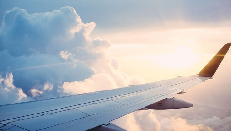 İstanbul hava alanında leylek alarmı: Pilotlar ve kontrolörler uyarıldı