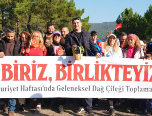 Doğaseverler, 438 metre yüksekliğindeki Kayışdağı Ormanı’nda dağ çileği topladı