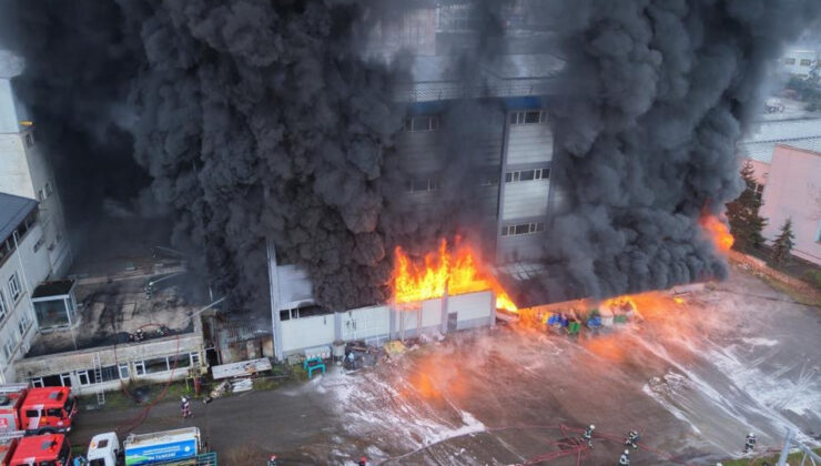 Trabzon’da fındık fabrikasında yangın