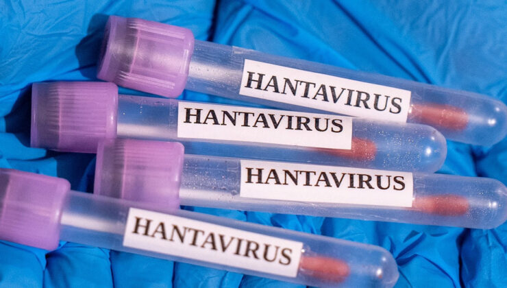 Sıhhat Bakanlığı’ndan Hantavirüs açıklaması